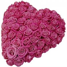 pink rose heart