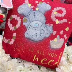 Me  2 You Pillow - Love Is All You Need