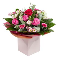 THE SECRET ADMIRER