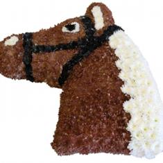 Horses head