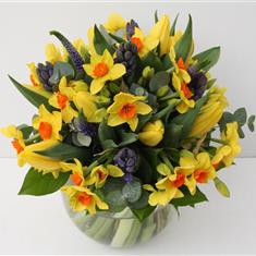 Hyacinth and Narcissus