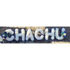 CHACHU