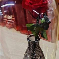 Eternal Rose Preserved Love
