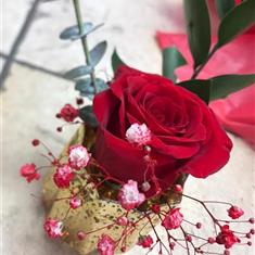 One for the One - Red Naomi Rose