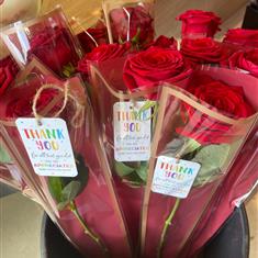 Teacher Single Rose
