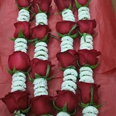 9 Rose Baby Ary