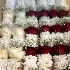 7 Rose Garland with Gyp