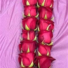 All Red Rose Garland