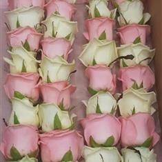 Pink &amp; White Rose Garland