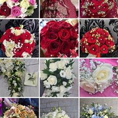 Bridal Examples 16