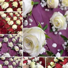 buttonholes Example 14