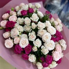 Roses pink, White Mixture