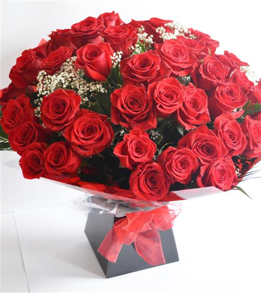 50 or 100 Luxury Red Roses Ever So Special Small Heath, Birmingham F